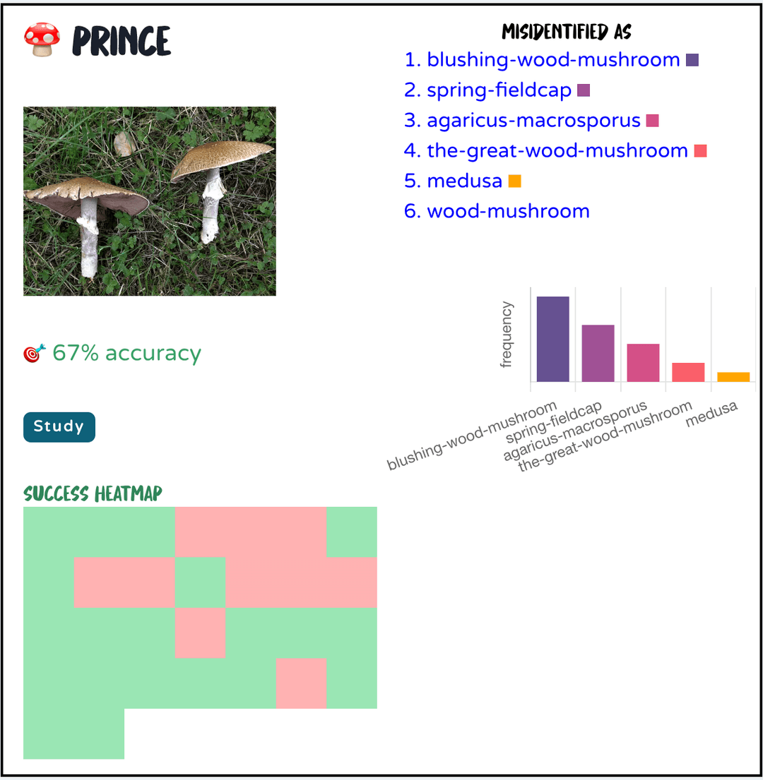 screenshot of mushroom insights